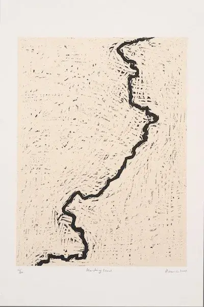Zarina’s Dividing Line, illustrated in Kaelen Wilson-Goldie’s Artforum review.
