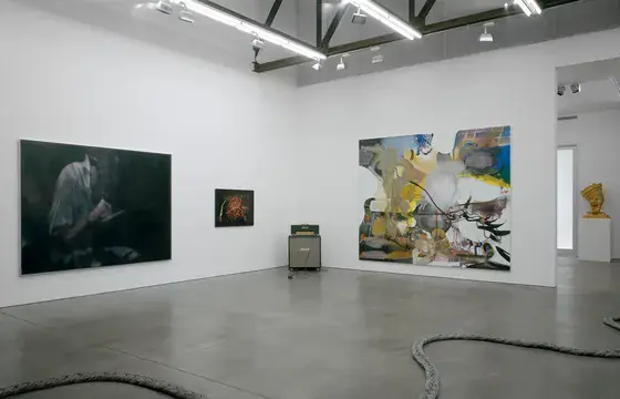 Twenty Five at Luhring Augustine, marking the gallery’s 1985–2010 history