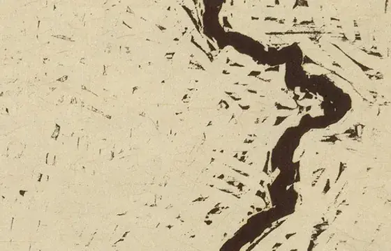 Detail from Zarina’s Dividing Line, 2001, in Art History