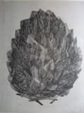 Blossom House, 1985, by Zarina