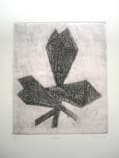 Homegrown, 1987, by Zarina