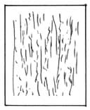 Untitled, 1975, by Zarina