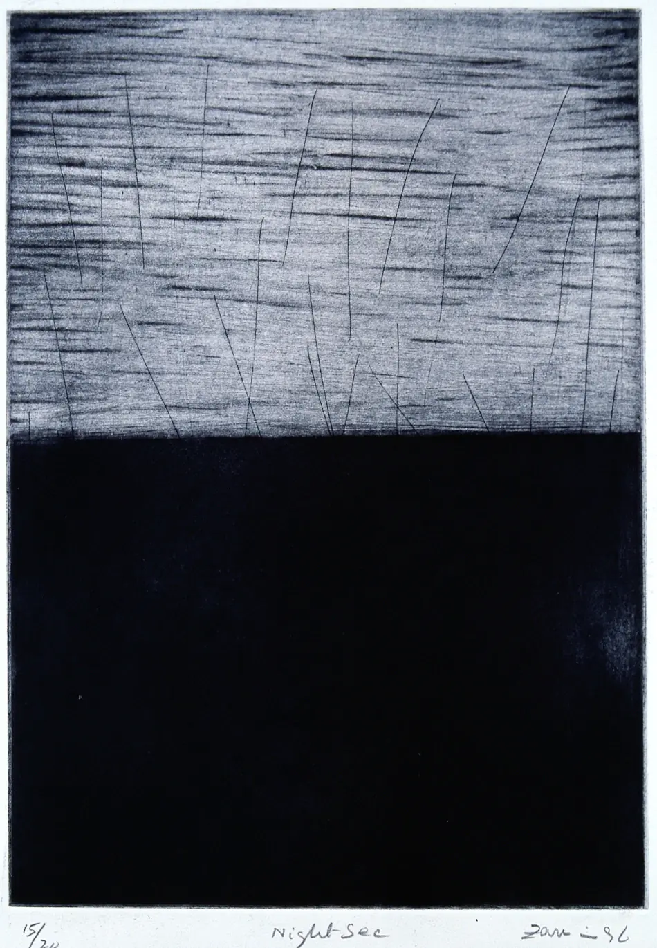 Santa Cruz, 1996, by Zarina